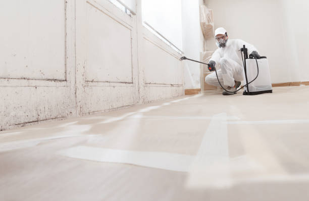 24/7 Emergency Commercial Mold Remediation experts in Gasburg, VA